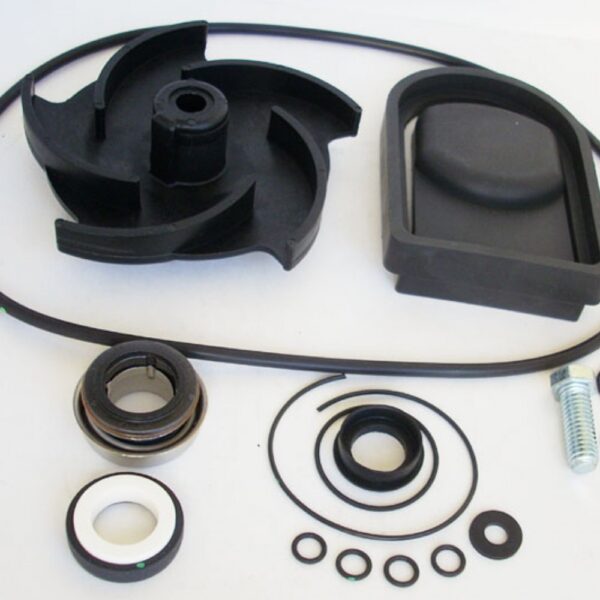 KIT REPARACION BOMBA POLY 2 NUEVA VITON BANJO Cod. 12000AV