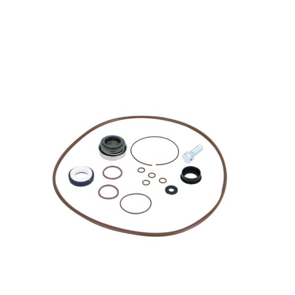 KIT SELLOS BOMBA POLY 3 VITON BANJO Cod. 13999V