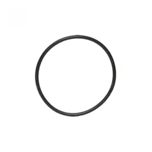 O RING EMPAQUETADURA BOMBA POLY POS.29 VITON BANJO Cod. 12710V