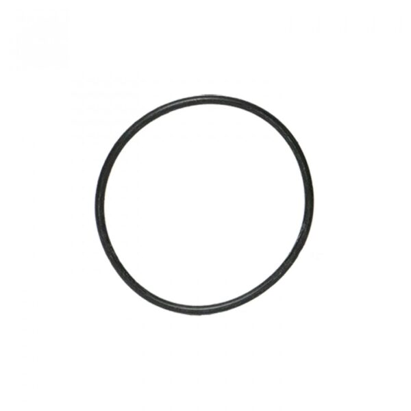 O RING EMPAQUETADURA BOMBA POLY POS.29 VITON BANJO Cod. 12710V