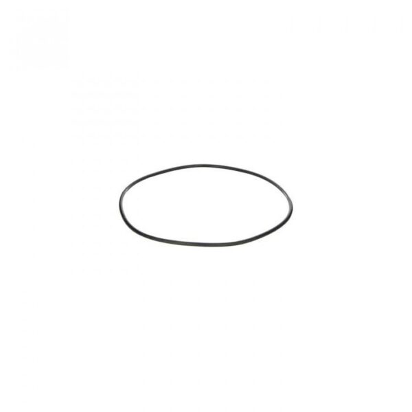 O RING D 24.8 X 2 CUERPO BOMBA POLY 2 Y 3 BANJO Cod. 12719A