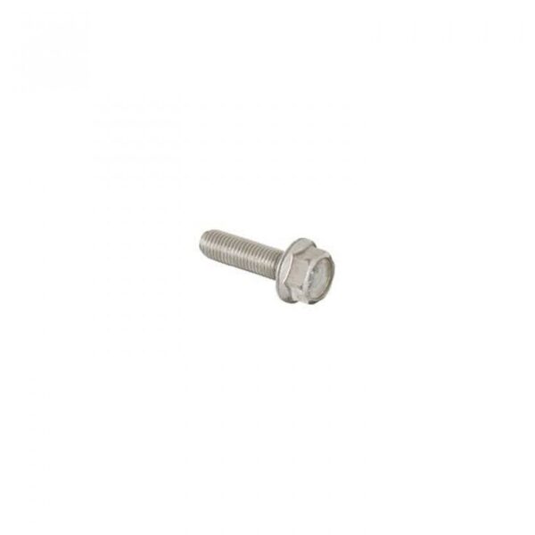 TORNILLO BOMBA POLY 2 NUEVA P/IMPULSOR BANJO Cod. 12765A