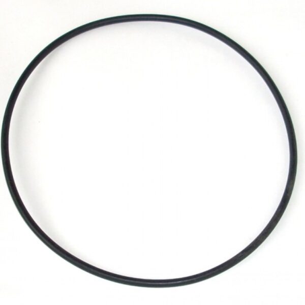 FILTRO BANJO Y 3 - O RING CUERPO VITON BANJO Cod. MLS300GV